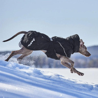 Hurtta Extreme Warmer 3 Wintermantel ECO 55 Bilberry-blau