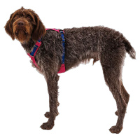 Ruffwear Hundegeschirr Hi & Light Alpenglow Pink -pink XXXS