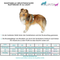 Ruffwear Hundegeschirr Hi & Light Alpenglow Pink -pink XXS