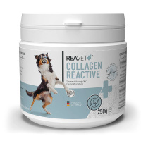REAVET Collagen Reactive für Hunde 250g