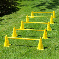 Steckhürden-Set Cavaletti gelb 80cm