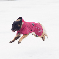 Rukka Pets Wintermantel Stormy