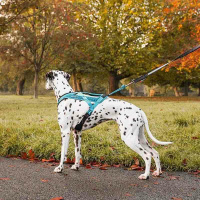Non-stop dogwear Rush Harness Brustgeschirr Zuggeschirr