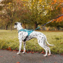 Non-stop dogwear Rush Harness Brustgeschirr Zuggeschirr