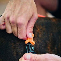 Non-stop dogwear Rush Harness Brustgeschirr Zuggeschirr Türkis Größe 2