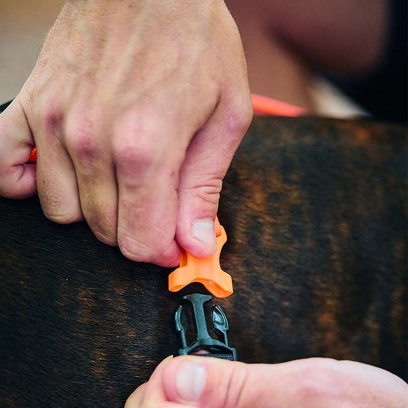 Non-stop dogwear Rush Harness Brustgeschirr Zuggeschirr Türkis Größe 4