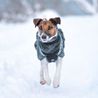 Non-stop Dogwear Wool Dog Jacket Wolljacke Pullover Merinowolle Größe 36 dark teal anthrazit