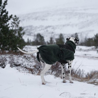 Non-stop Dogwear Wool Dog Jacket Wolljacke Pullover Merinowolle Größe 36 dark teal anthrazit