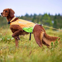 Non-stop dogwear Schleppleine Protector round Orange 10m