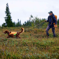 Non-stop dogwear Schleppleine Protector round Orange 15m