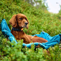 Non-stop dogwear Trekking Campingmatte Hundebett Dark teal- türkis S