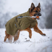 Non-stop Dogwear Wintermantel Glacier Jacket WD Oliv Größe 40
