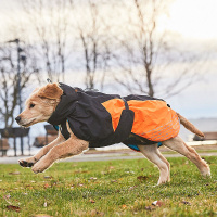 Non-stop Dogwear Wintermantel Glacier Jacket WD  Oliv Größe 45