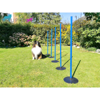 Slalom Set: Stangen 100cm inkl. Vollgummifüße...