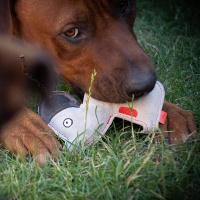 Doggy Doodles süßes Kuscheltier aus hochwertigem Rindsleder hellgrau Esel