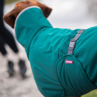 Pomppa Toppa Wintermantel mit Geschirröffnung Forest Dunkelgrün 65