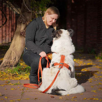 AnnyX Führleine verstellbar Bolt FUN Gesamtübersicht