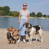 AnnyX Brustgeschirr Hundegeschirr Fun Limited Edition Wildblume XXS Steg lang 19,5cm