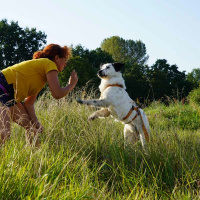 AnnyX Sicherheitsgeschirr Safety Goldglöckchen L