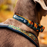 Non-stop dogwear Halsband Trail quest collar Rachel Pohl Edition Türkis-eiche L 40-65cm