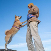 Non-Stop Dogwear Trail quest Fanny Pack Gürteltasche Rachel Pohl Edition Türkis-eiche