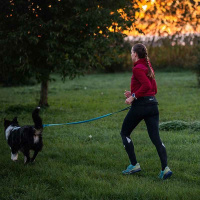 Non-stop dogwear RUSH Belt Gurt Bauchgurt zum laufen