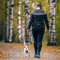 Non-stop dogwear RUSH Belt Gurt Bauchgurt zum laufen Schwarz-türkis