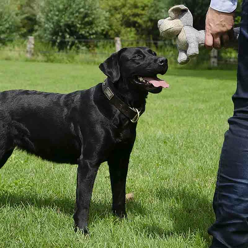 Country Dog Kuscheltier aus 100% recyceltem Material