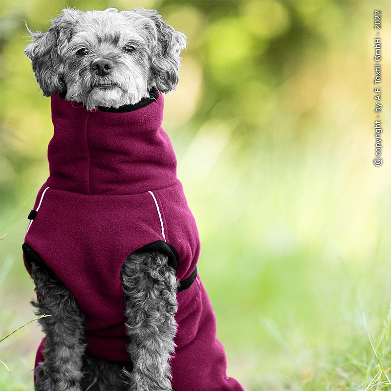 WarmUp Cape PRO Mantel MINI für kleine Hunde 30cm Bordeaux dunkelrot
