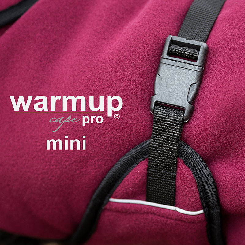 WarmUp Cape PRO Mantel MINI für kleine Hunde 30cm Bordeaux dunkelrot