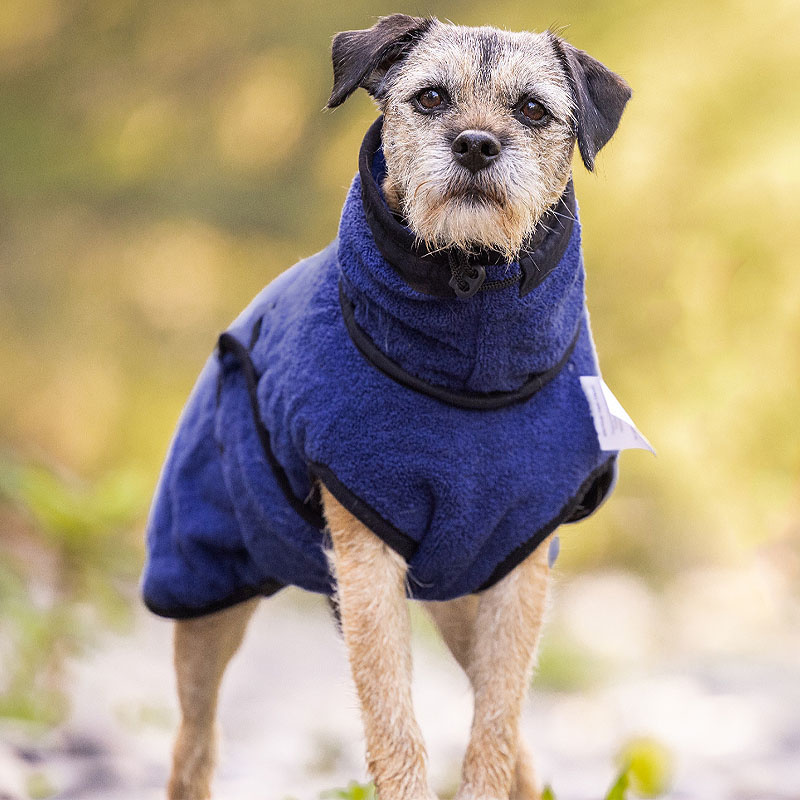 WarmUp Cape PRO Mantel MINI für kleine Hunde 30cm Darklblue blau