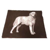 PITUPITA medizinische Hundedecke DryBed MedBed Vet Bed rutschfest Labrador braun/beige M 100x75