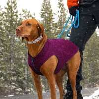 KURGO K9 Core Sweater Hundepullover Violett lila XL
