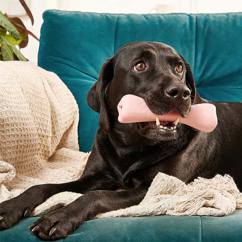 Beco Pets Treat Bone - Knochen Pink