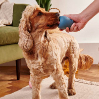 Beco Pets Boredom Buster Blau