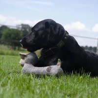 Country Dog Kuscheltier lang aus 100% recyceltem Material