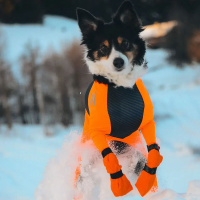 Non-stop dogwear Contact Bootie high hochgeschnittene Hundebooties 4er-Pack orange XXXS 1-2cm