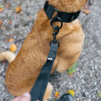 Non-stop dogwear Security strap WD Kurzführer schwarz