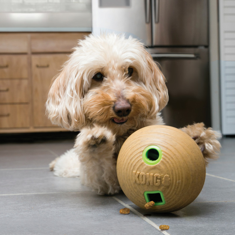 KONG Bamboo Leckerchen Spender Intelligenzspielzeug Bamboo Ball