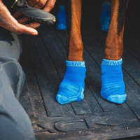 Ruffwear Barkn Boot – Socken für Hunde Blue Pool - blau 6,4cm - 7,0cm