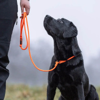 Non-stop dogwear Retriever Leine Schwarz 1,6m / 6mm