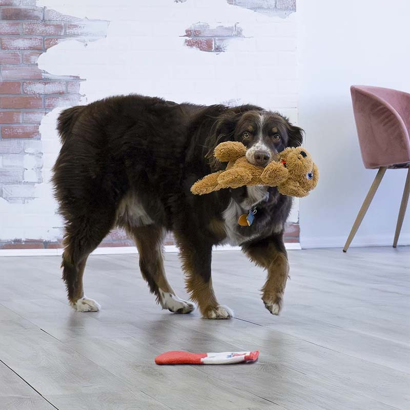 KONG Comfort Pups – Kuscheltier für deinen Hund