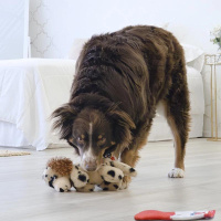 KONG Comfort Pups – Kuschelspaß für deinen Hund Spot M