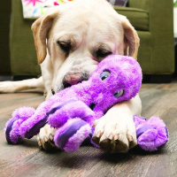 KONG SoftSeas Octopus Kuscheltier L