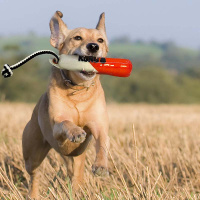 KONG Wild Shieldz Dummy Apportierspielzeug Auswahl