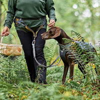 Hurtta Expedition Belt ECO Laufgurt Wandergurt