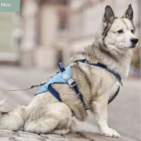 Hurtta Sicherheitsgeschirr Safeguard Geschirr ECO Blackberry-anthrazit 45-60