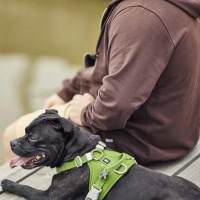 Hurtta Hundegeschirr Weekend Warrior ECO 2 Raven-schwarz 75-100