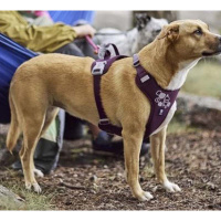 Hurtta Hundegeschirr Weekend Warrior ECO 2 Ruby-pink 55-70