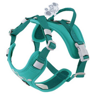 Hurtta Hundegeschirr Weekend Warrior ECO 2 Peacock-türkis 40-45